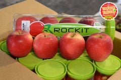 Táo Rockit NewZealand ống 4 quả  - ống