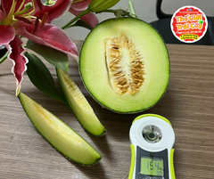 Dưa lưới ruột xanh Ichiba - kg