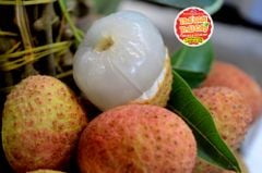 Vải nếp hàng máy bay - kg