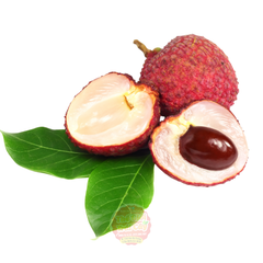Vải trứng hàng máy bay - kg