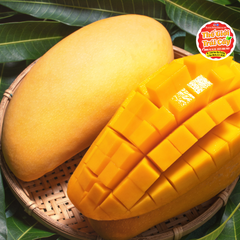 Xoài cát Hoà Lộc Cao chín ăn liền - kg
