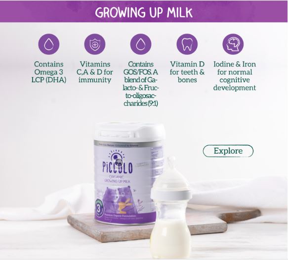 Sữa Piccolo Organic 3 Growing-Up Milk Powder từ 12 tháng 800g