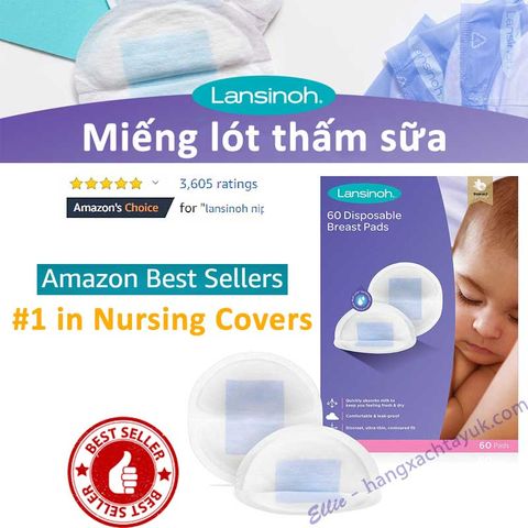 Lansinoh Disposable Nursing Pads - Miếng lót thấm sữa Lansinoh 60 miếng/hộp