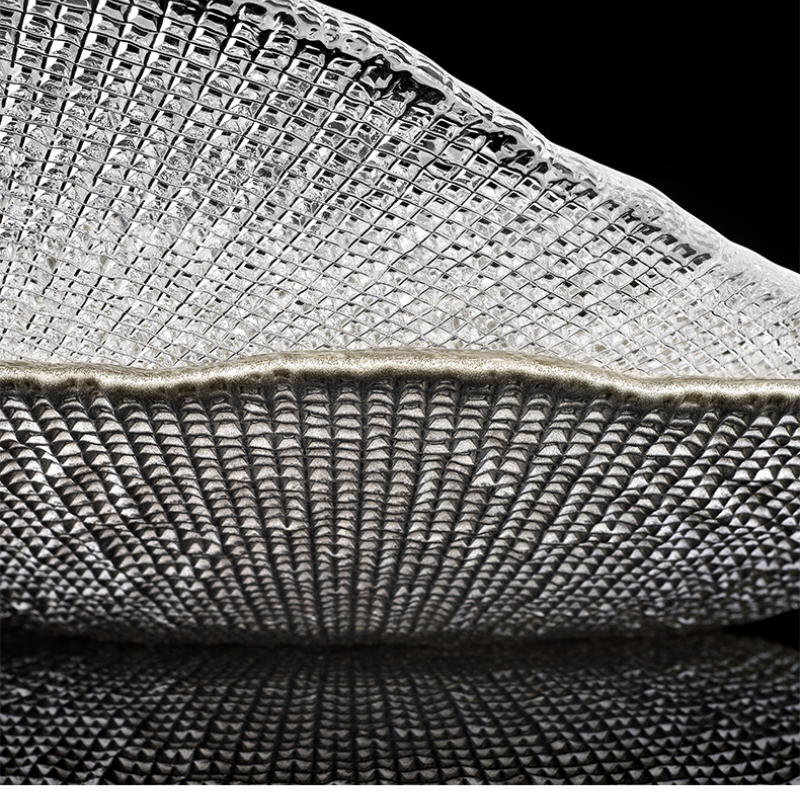 ĐĨA ĐỰNG THỨC ĂN NOBLE