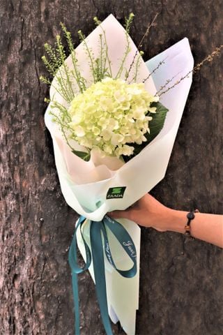  BO0031 - ĐƠN SẮC 