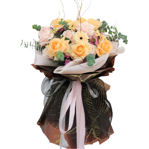  BO0028 - SỨC SỐNG MỚI 