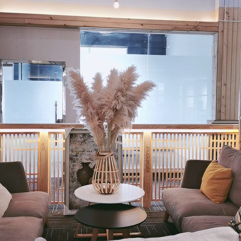  CỎ PAMPAS ƯỚP KHÔ CÔNG NGHỆ PHÁP 