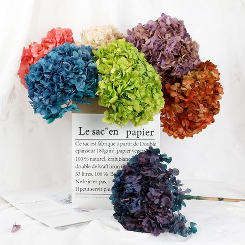  CẨM TÚ CẦU ƯỚP KHÔ CÔNG NGHỆ PHÁP 