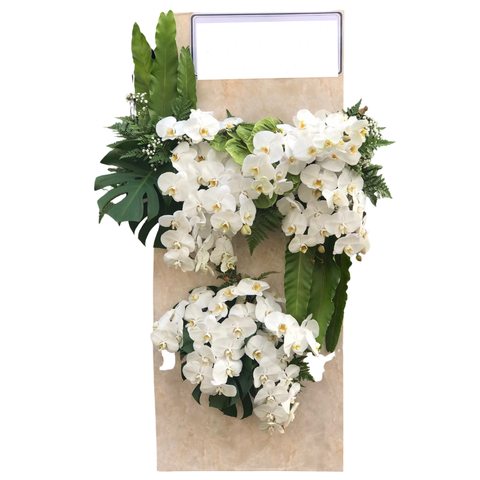  CB0001 - MỘT NÉT NHẠC BUỒN 