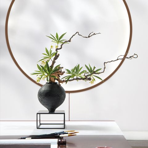  LỌ HOA TRANG TRÍ DRIED 