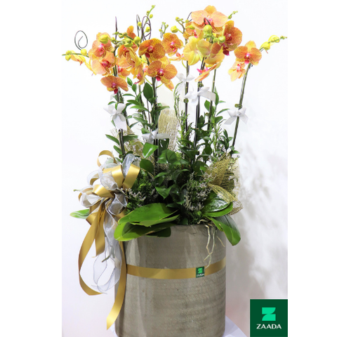  LHD0001 - HOA XUM VẦY 