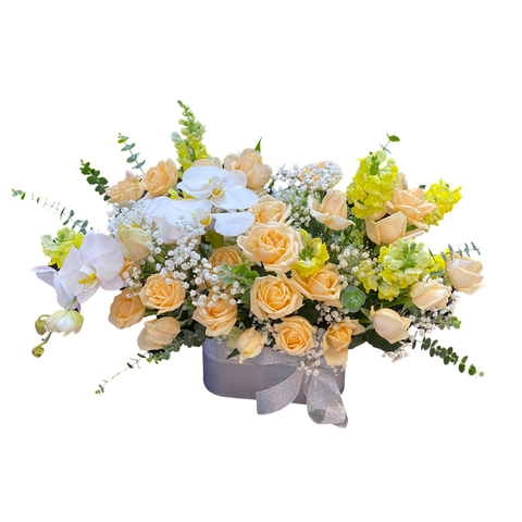  LA0016 - YÊU THÊM MÙA NẮNG 