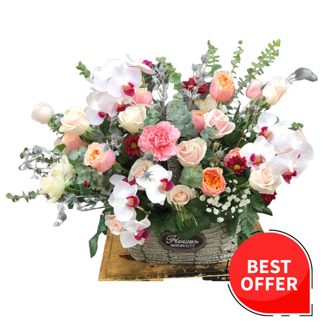  LA0014 - ĐI RỒI SẼ ĐẾN 