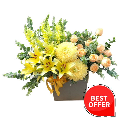  LA0005 - GIỌT MẬT 