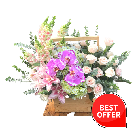  LA0013 - CHẠM ĐẾN TRÁI TIM 