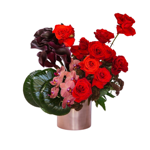  BI0011 - CHẠM VÀO VẺ ĐẸP 