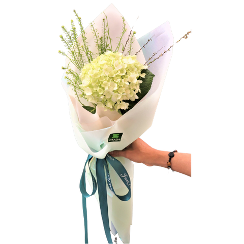  BO0031 - ĐƠN SẮC 