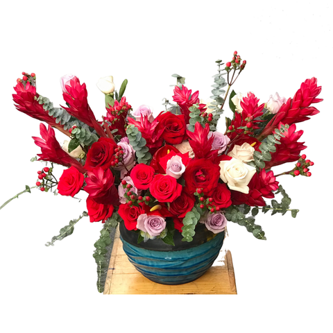  BI0005 - RỰC ĐỎ GÓC TRỜI 