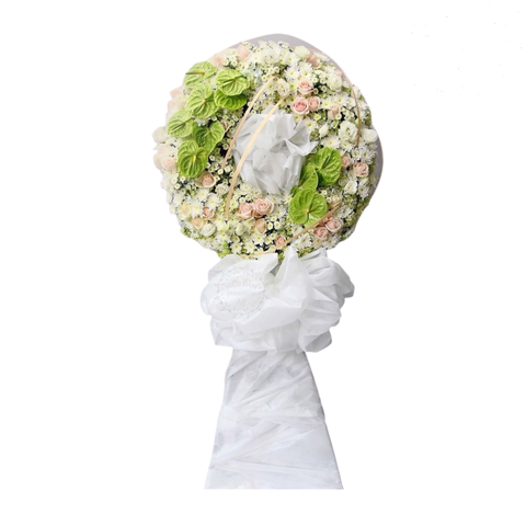  CB0016 - DEEPLY UNDERSTANDING 