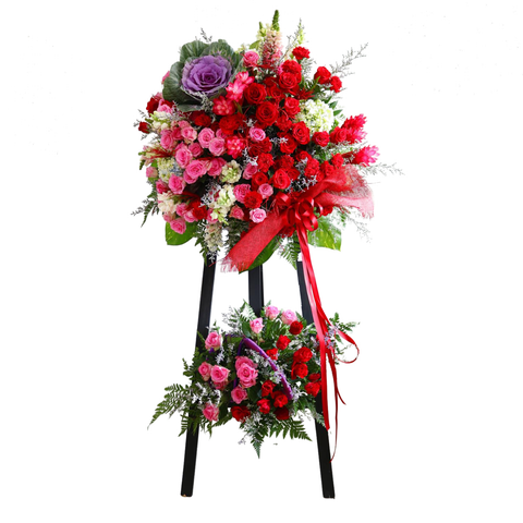  KE0006 - GIƯƠNG BUỒM RA KHƠI 