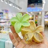  Kẹp càng cua hoa sứ màu loang 