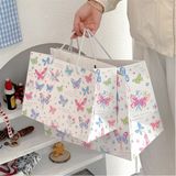  Túi quà bướm nhí màu sắc 