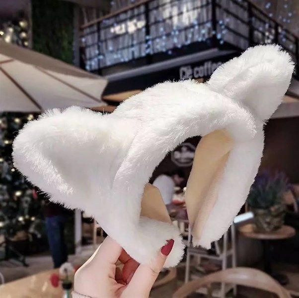  Bờm lông tai mèo 