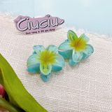  Kẹp càng cua hoa sứ 