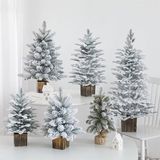  Cây thông phủ tuyết kèm chậu + đèn decor Giáng Sinh 