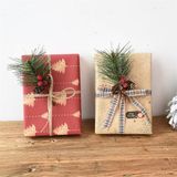  Quả thông mix lá 