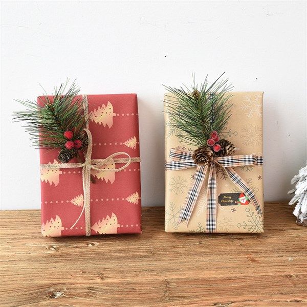  Quả thông mix lá 