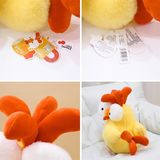  Gà lông xù mắt trố 