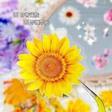  Sticker hoa lá ABC 60 miếng 