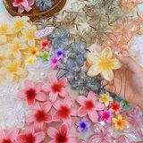  kẹp càng cua hoa sứ ánh nhũ nhuỵ ombre 