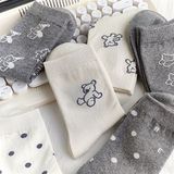  Tất SKSTMG gấu Teddy 