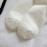  Tất Susufish thú nơ 