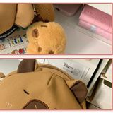  Túi Capybara túi rùa + móc khoá bông 