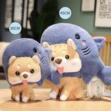  Shiba bông mũ cá mập 