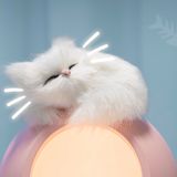  Đèn ngủ mèo bông 