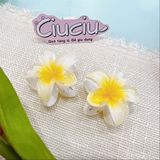  Kẹp càng cua hoa sứ 