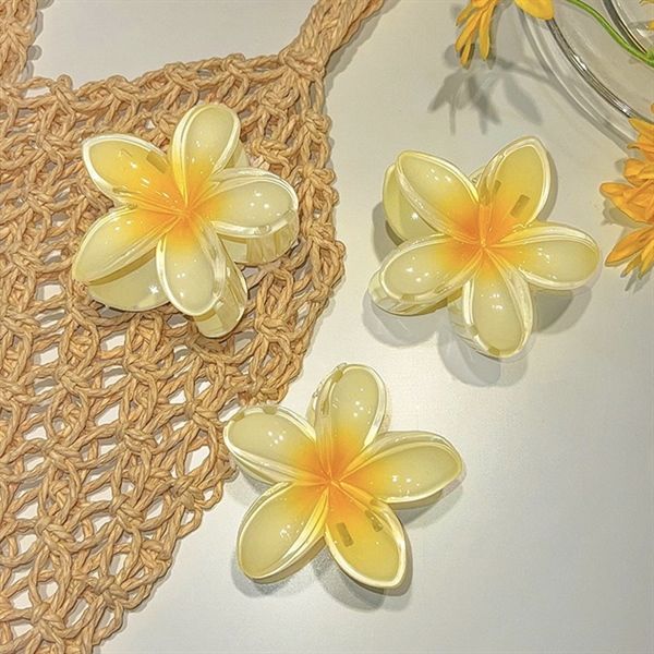  Kẹp càng cua hoa sứ 