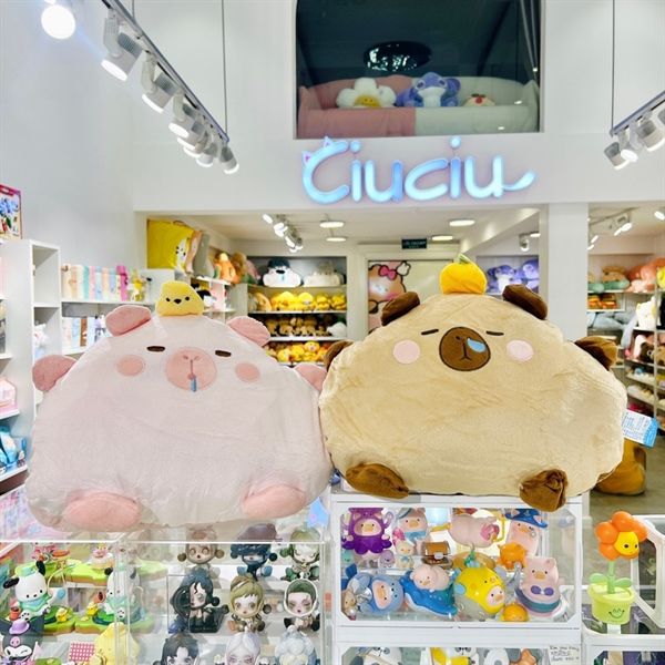  Gối kèm chăn Capybara có ủ tay 