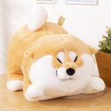  Shiba bông béo mắt híp 