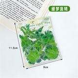  Sticker hoa lá ABC 60 miếng 