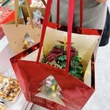  Túi quà Giáng Sinh cây thông bigsize 
