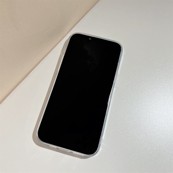  Ốp vịt chữ xanh 