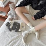  Tất SKSTMG gấu Teddy 