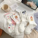 Tất DMS cao cổ hình dễ thương 