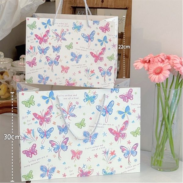  Túi quà bướm nhí màu sắc 
