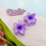  Kẹp càng cua hoa sứ 